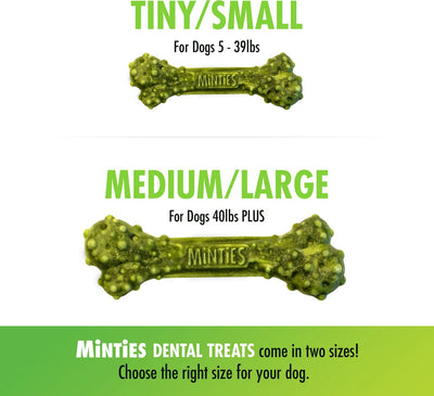 Premios Dentales MINTIES sabor a Menta para perros medianos y grandes 20 und