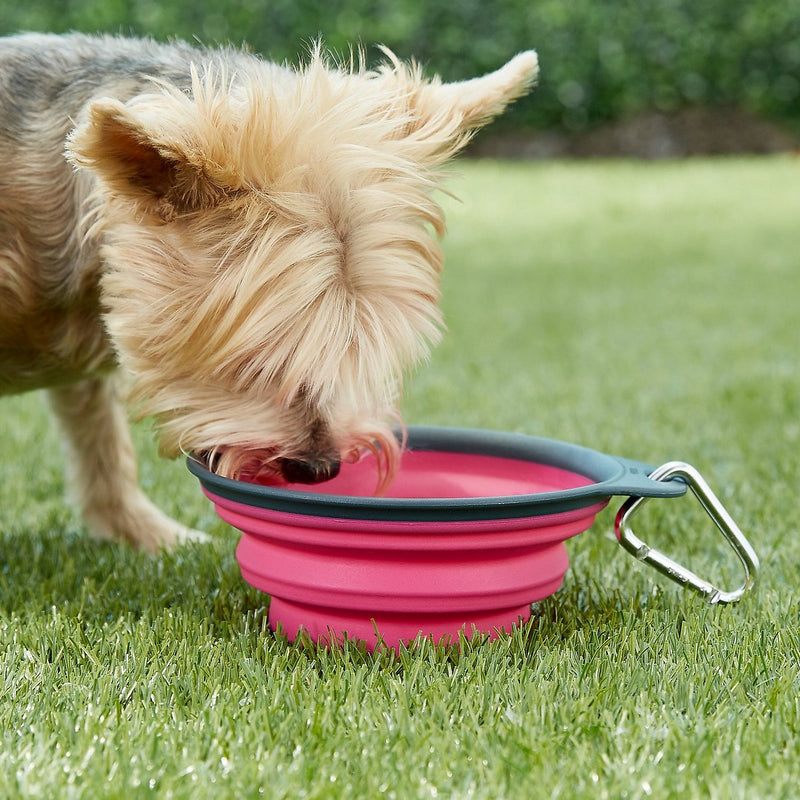 Comedero y Bebedero portatil de silicona con arnes DEXAS 240 ml