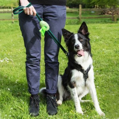 Dispensador de bolsas para desecho de perros BECO pocket