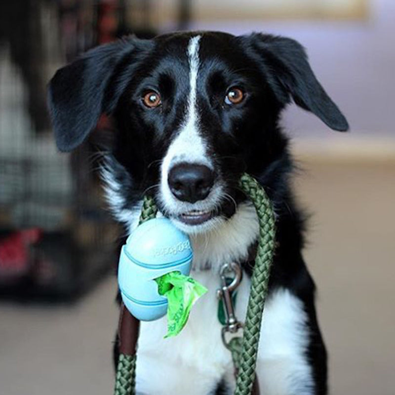 Dispensador de bolsas para desecho de perros BECO pocket