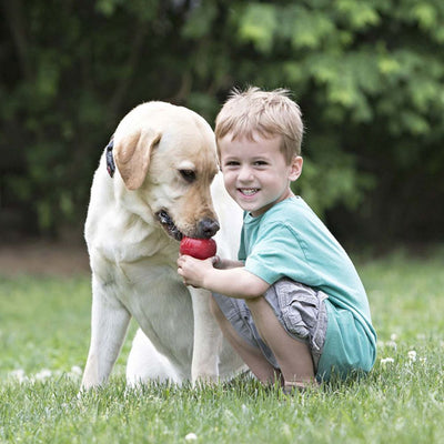 Juguete para perros KONG Classic